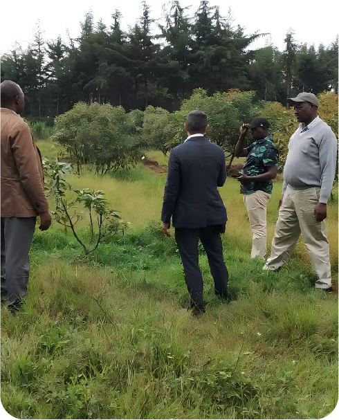 Farm assessment